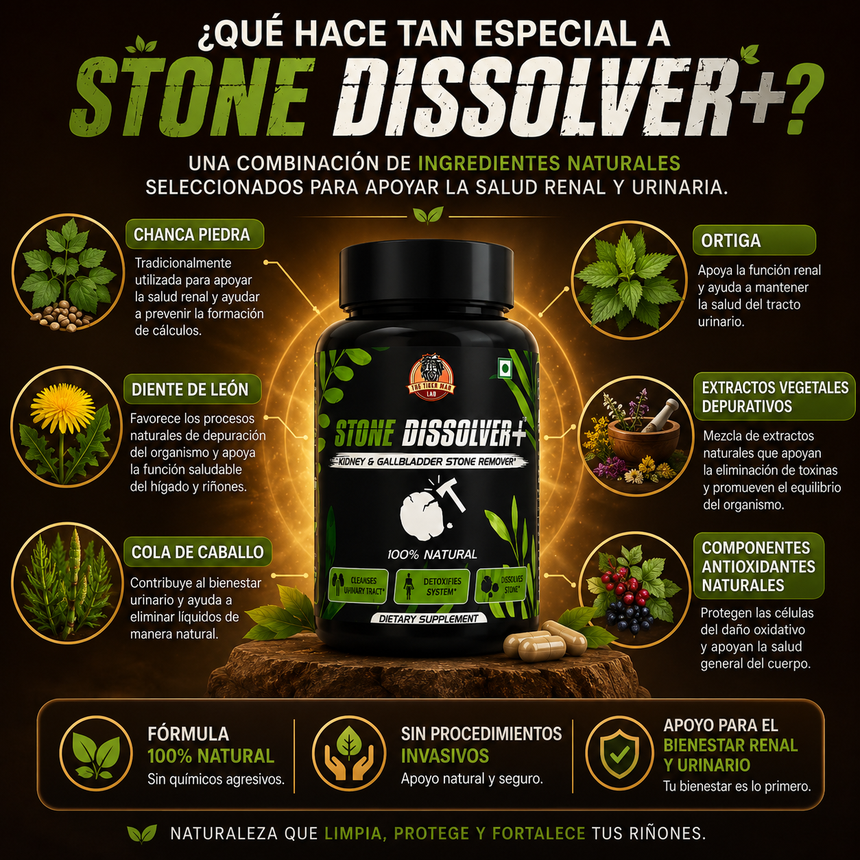 Stone Dissolver+