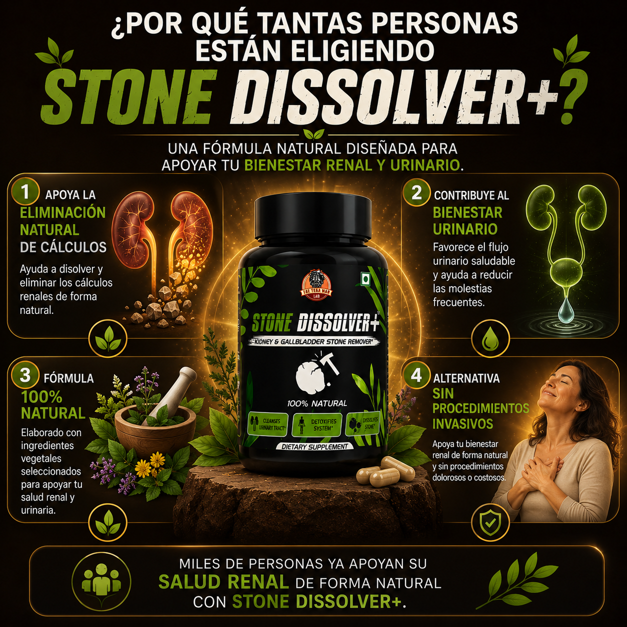 Stone Dissolver+